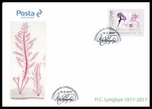 Færøerne FDC AFA 888