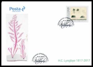 Færøerne FDC AFA 889