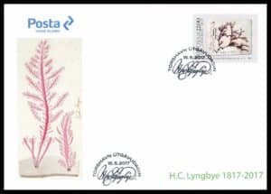 Færøerne FDC AFA 890