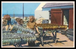 Danmark Postkort 3770 Allinge