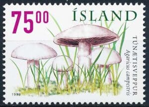 Island AFA 0901 Postfrisk