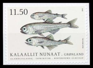 Grønland AFA 905E Postfrisk