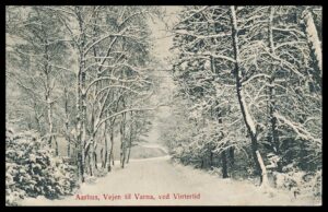 Danmark Postkort 8000 Århus