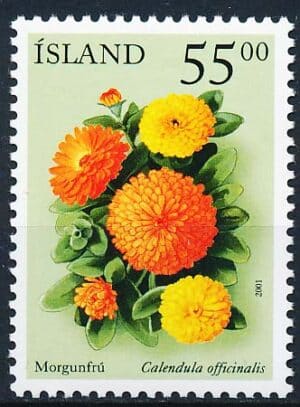 Island AFA 0960 Poistfrisk