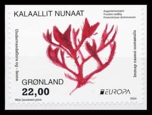 Grønland AFA 962E Postfrisk