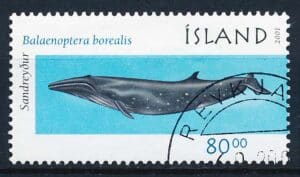 Island AFA 0976 Stemplet