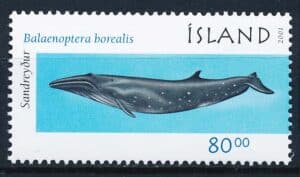 Island AFA 0976 Postfrisk