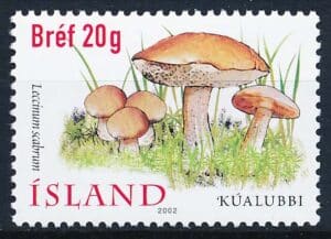 Island AFA 0985 Postfrisk