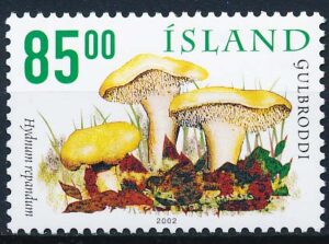 Island AFA 0986 Postfrisk